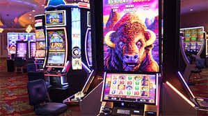 bet979 app
